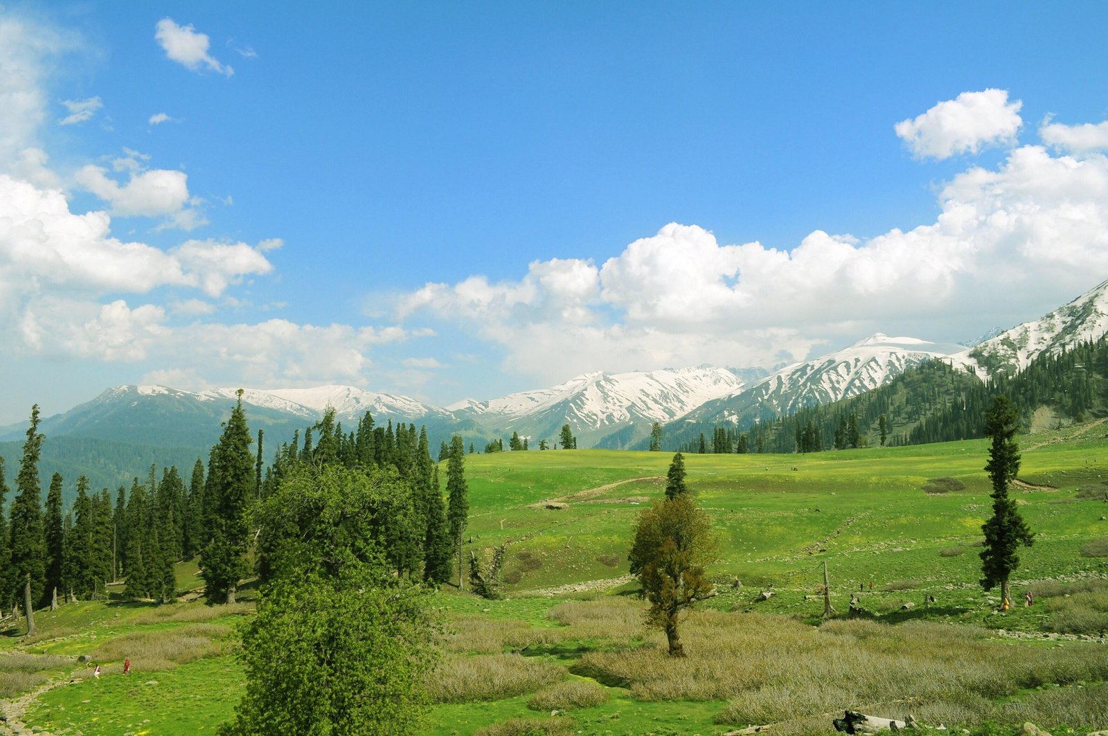 Dal Lake Kashmir