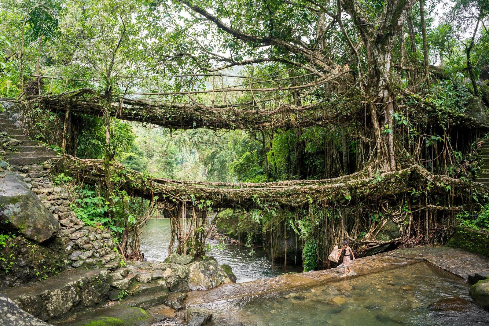 Meghalaya Nature Trails Tour Package