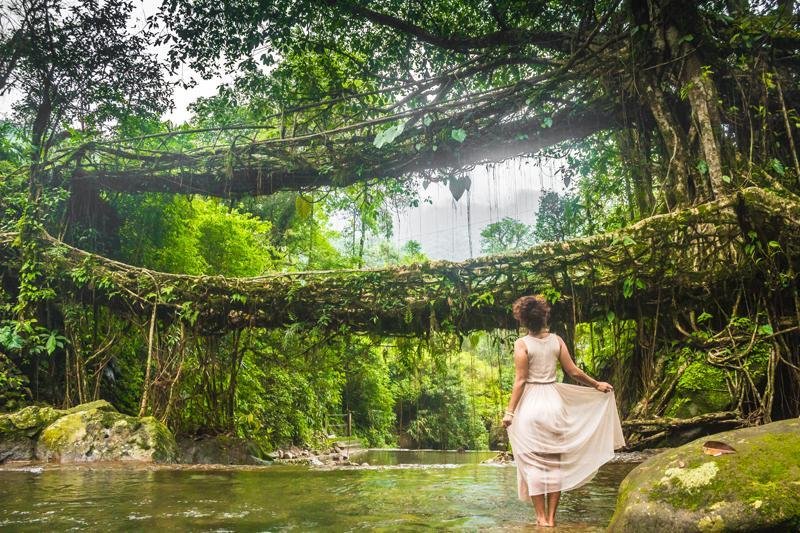 Meghalaya Women's Group Tour - Living Root Bridges